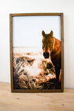 Horse Farm Signs