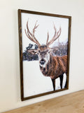 Winter Deer Print