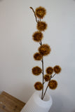 Mustard & Maroon Billy Ball Stem