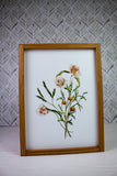 Summer Wild Flower Collection
