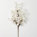 Eucalyptus and Cone Collection